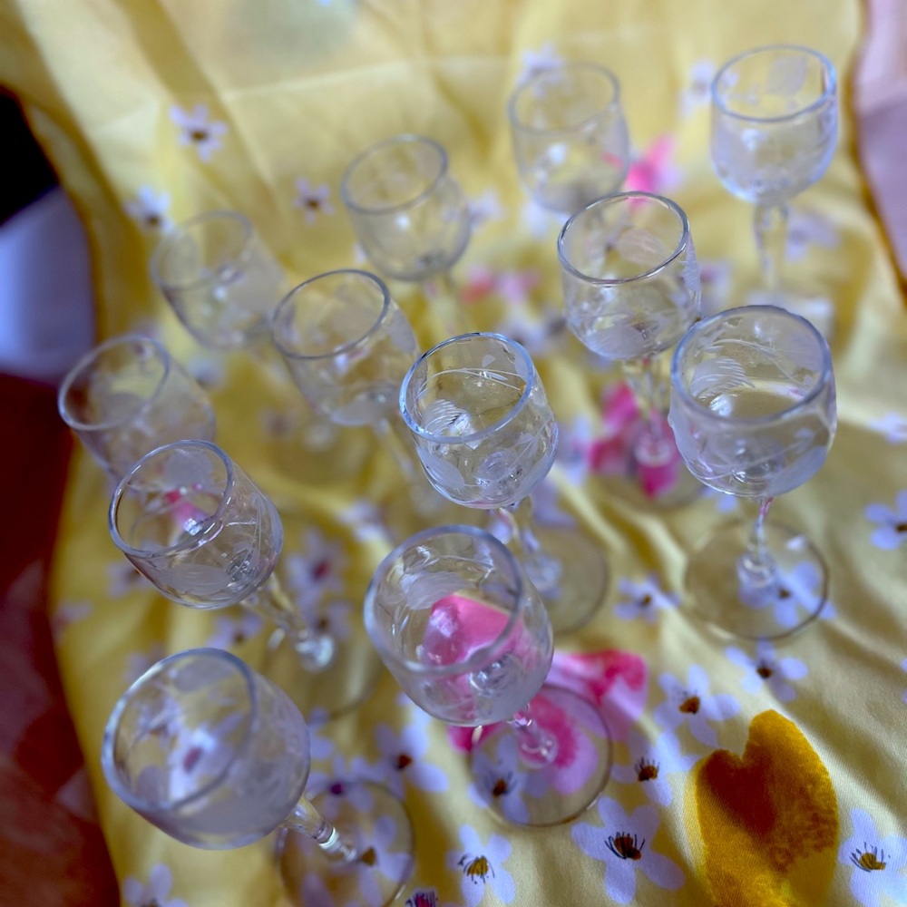 Set of 12 GORGEOUS Vintage Etched Cordial Glasses - EUC